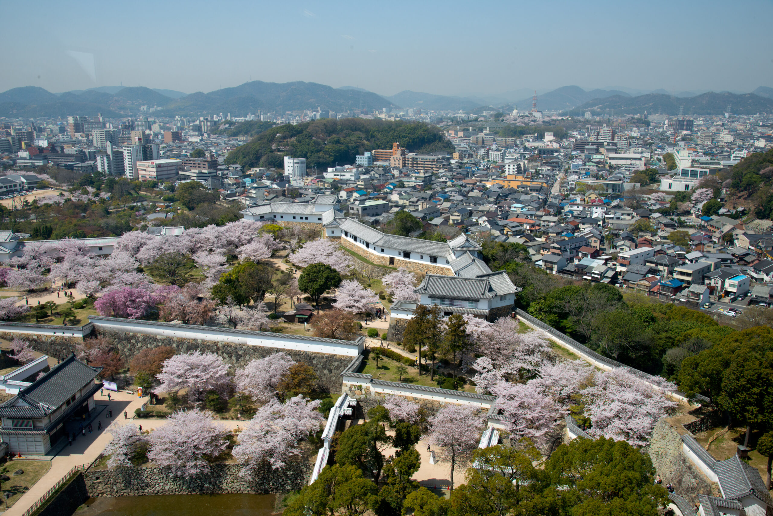 【姫路市】使わない空き家、放置するほど損するって本当?|税金面も解説