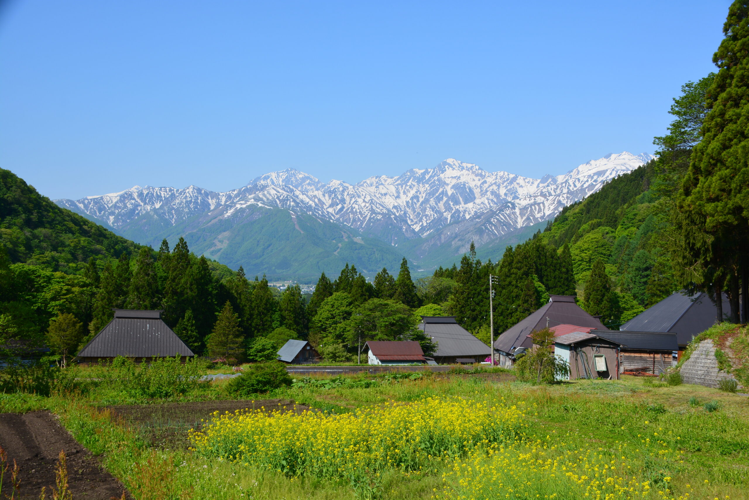 【白馬村青鬼】解体費用が心配な不動産、売却で持ち出しを抑えるには