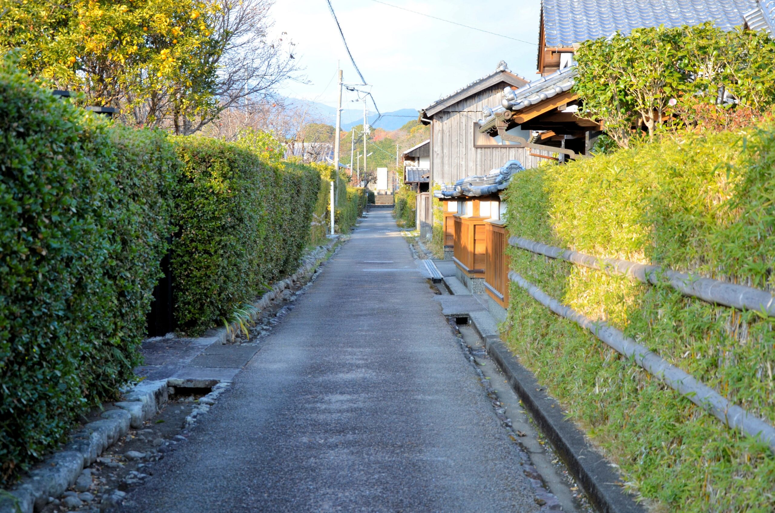 【安芸市土居廓中】伝統工法の修理費が重い不動産、補助と売却の考え方